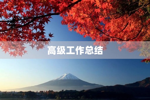 高级工作总结