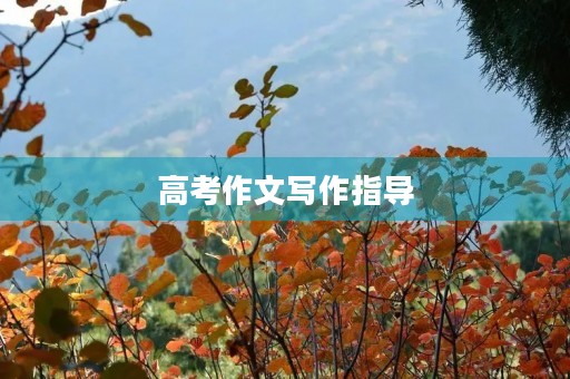 高考作文写作指导 高考作文写作指导