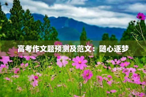 高考作文题预测及范文：随心逐梦，无悔人生