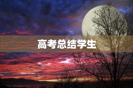 高考总结学生