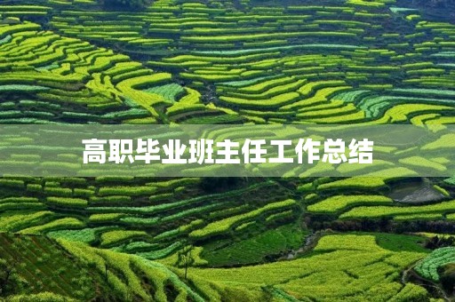 高职毕业班主任工作总结