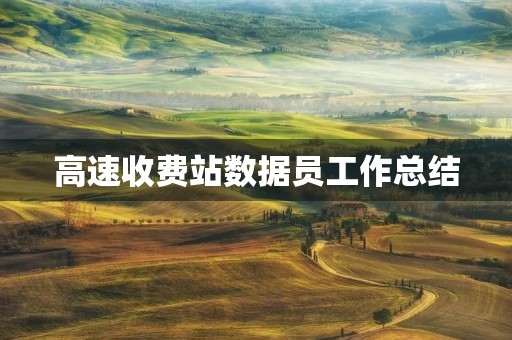 高速收费站数据员工作总结