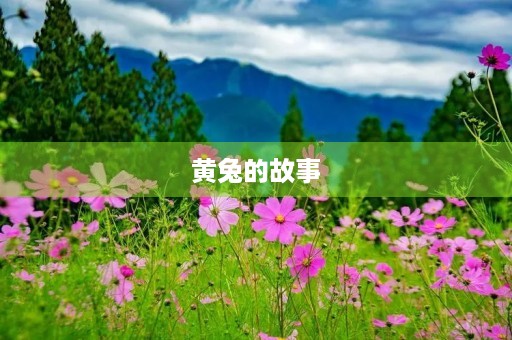 黄兔的故事 黄兔的故事