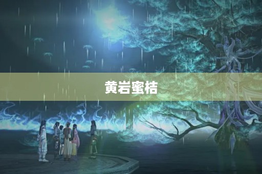 黄岩蜜桔 黄岩蜜桔