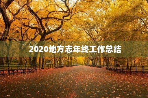 2020地方志年终工作总结 2020地方志年终工作总结
