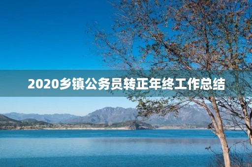 2020乡镇公务员转正年终工作总结