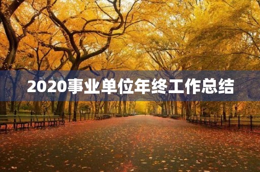 2020事业单位年终工作总结