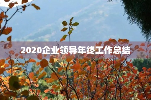 2020企业领导年终工作总结
