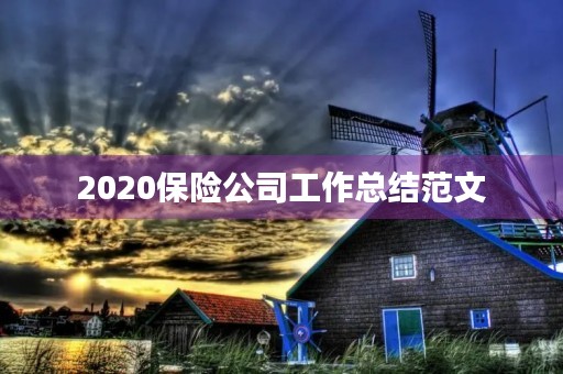 2020保险公司工作总结范文