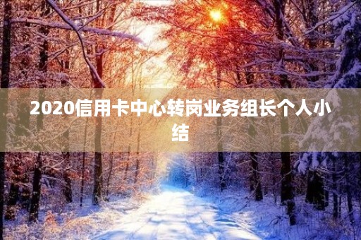 2020信用卡中心转岗业务组长个人小结