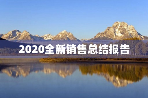 2020全新销售总结报告 2020全新销售总结报告