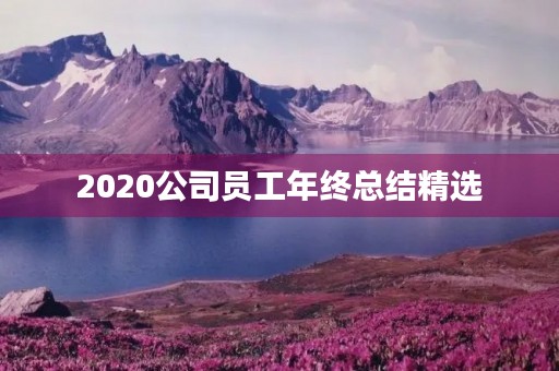 2020公司员工年终总结精选