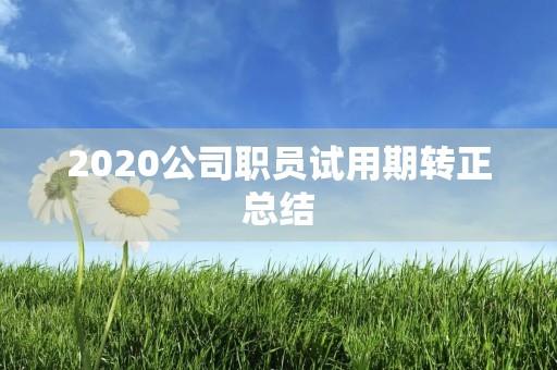 2020公司职员试用期转正总结