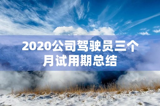 2020公司驾驶员三个月试用期总结