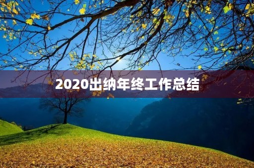 2020出纳年终工作总结