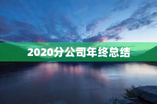 2020分公司年终总结 2020分公司年终总结