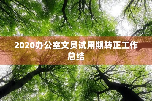 2020办公室文员试用期转正工作总结