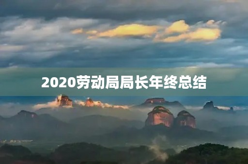 2020劳动局局长年终总结