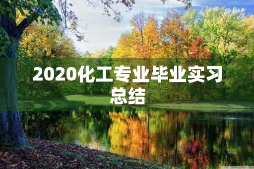 2020化工专业毕业实习总结