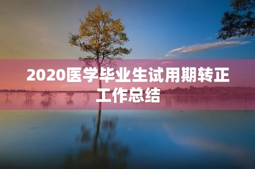 2020医学毕业生试用期转正工作总结