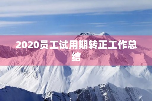 2020员工试用期转正工作总结