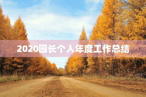 2020园长个人年度工作总结