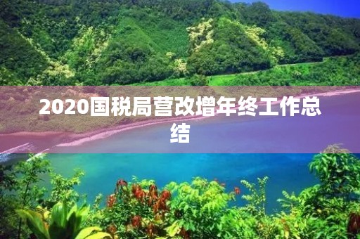 2020国税局营改增年终工作总结