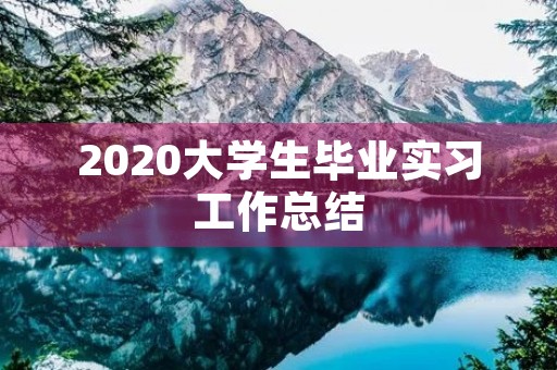 2020大学生毕业实习工作总结