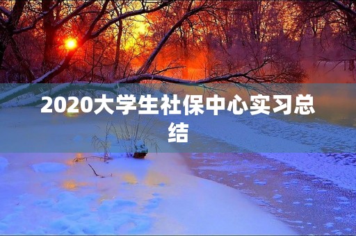 2020大学生社保中心实习总结 2020大学生社保中心实习总结
