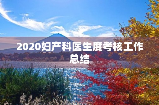 2020妇产科医生度考核工作总结