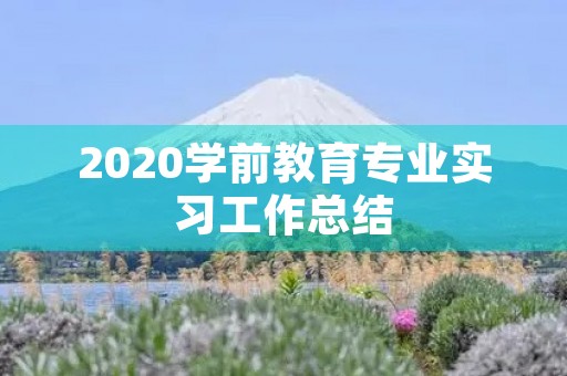 2020学前教育专业实习工作总结