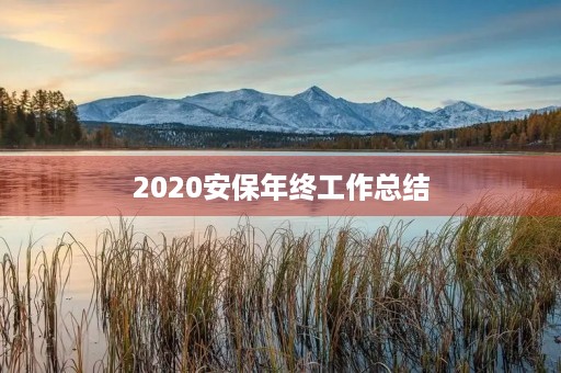 2020安保年终工作总结