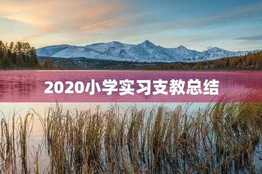 2020小学实习支教总结 2020小学实习支教总结