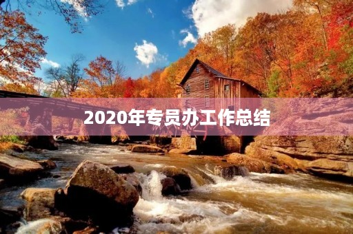 2020年专员办工作总结 2020年专员办工作总结