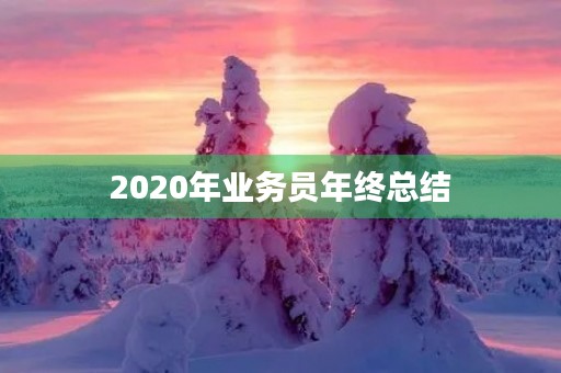2020年业务员年终总结