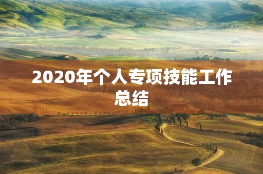 2020年个人专项技能工作总结