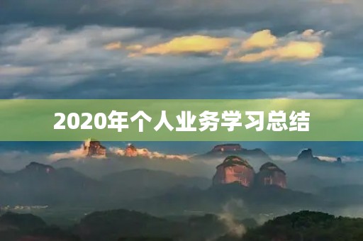 2020年个人业务学习总结