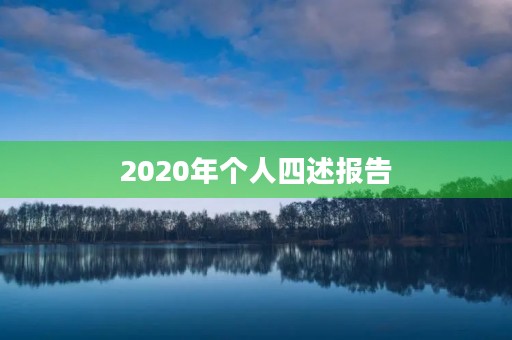 2020年个人四述报告