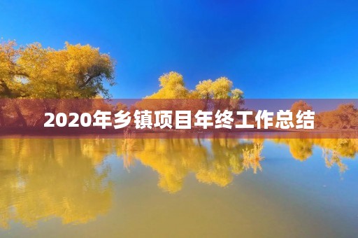 2020年乡镇项目年终工作总结