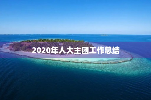 2020年人大主团工作总结 2020年人大主团工作总结