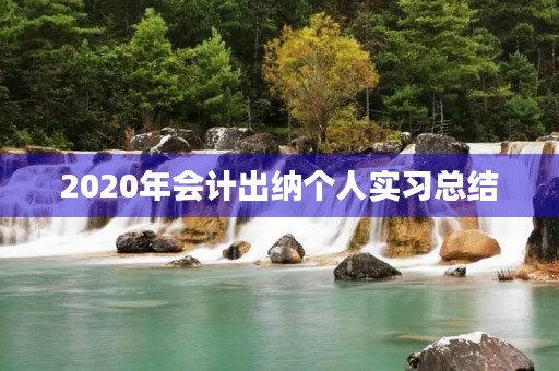2020年会计出纳个人实习总结 2020年会计出纳个人实习总结