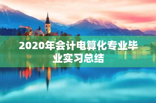 2020年会计电算化专业毕业实习总结 2020年会计电算化专业毕业实习总结