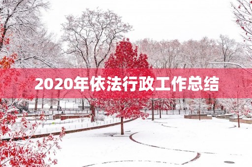 2020年依法行政工作总结