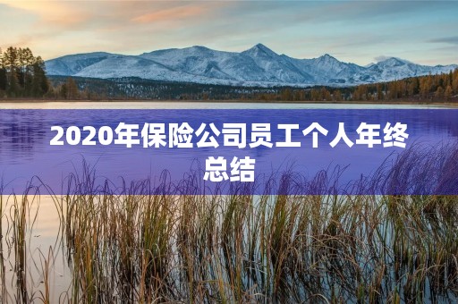 2020年保险公司员工个人年终总结