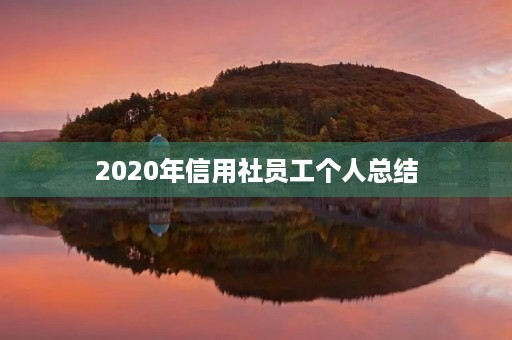 2020年信用社员工个人总结