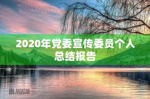 2020年党委宣传委员个人总结报告