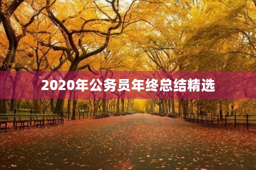 2020年公务员年终总结精选 2020年公务员年终总结精选