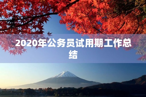 2020年公务员试用期工作总结 2020年公务员试用期工作总结
