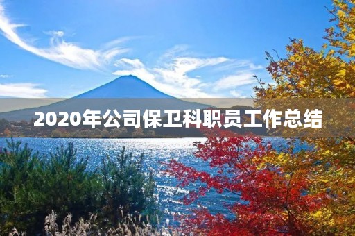 2020年公司保卫科职员工作总结