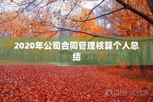 2020年公司合同管理核算个人总结
